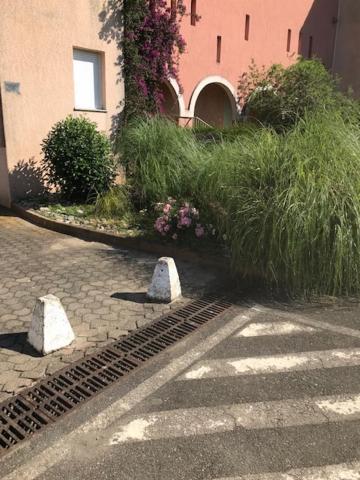 Corsica Studio Face A La Mer Moriani Plage Apartman San-Nicolao Kültér fotó